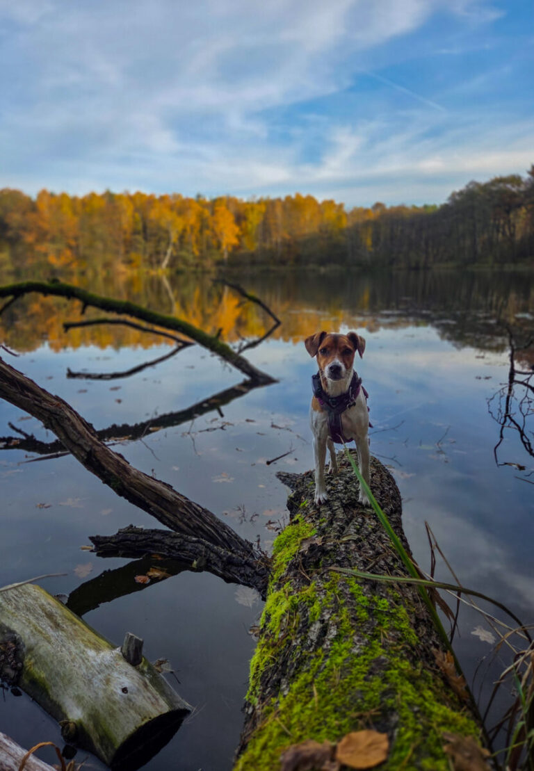 Jezioro Baba