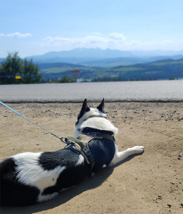 Punkt widokowy na Tatry – Wielkie Pole