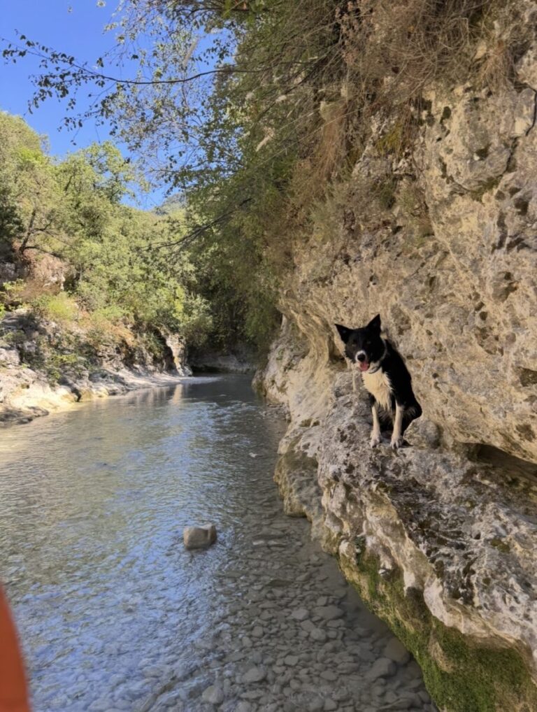 Les Gorges du Toulourenc