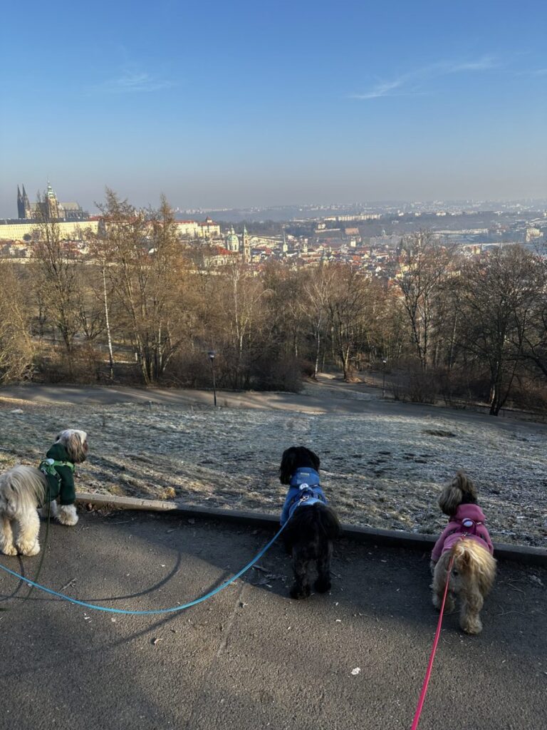 Petrińskie wzgórza