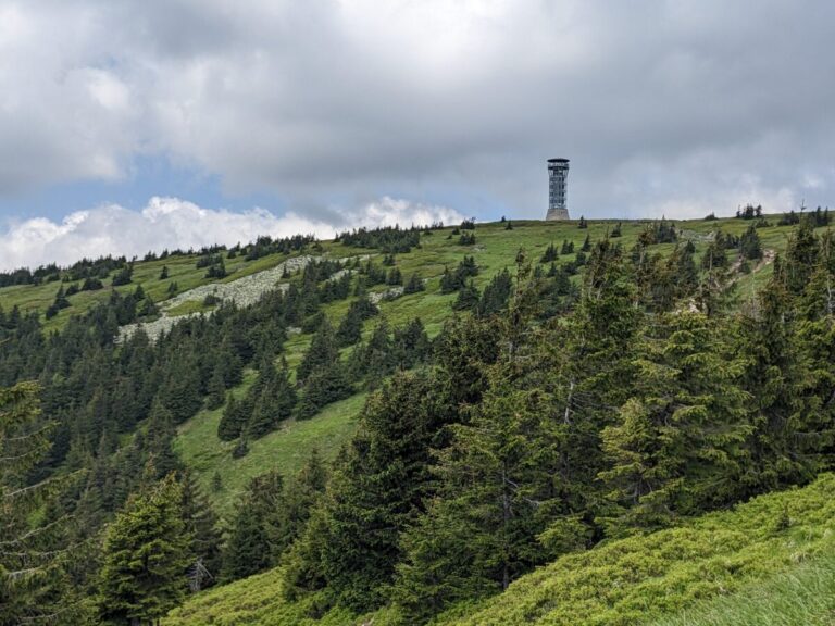 Śnieżnik (1425 m n.p.m.)