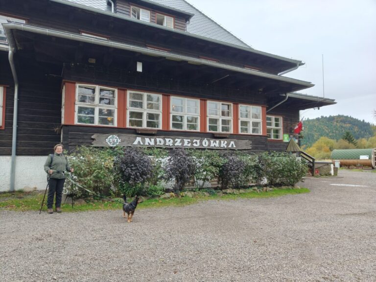 Schronisko Andrzejówka