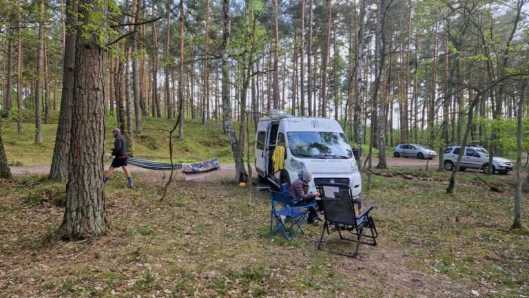 Parking leśny