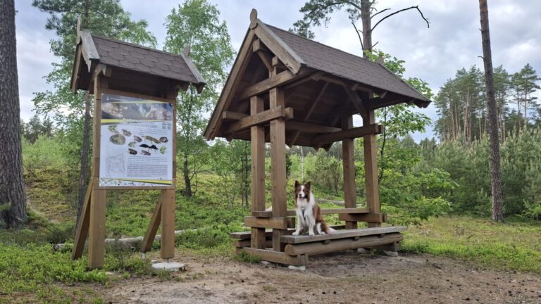 Pieszy szlak przyrodniczo-edukacyjny w Juszkach