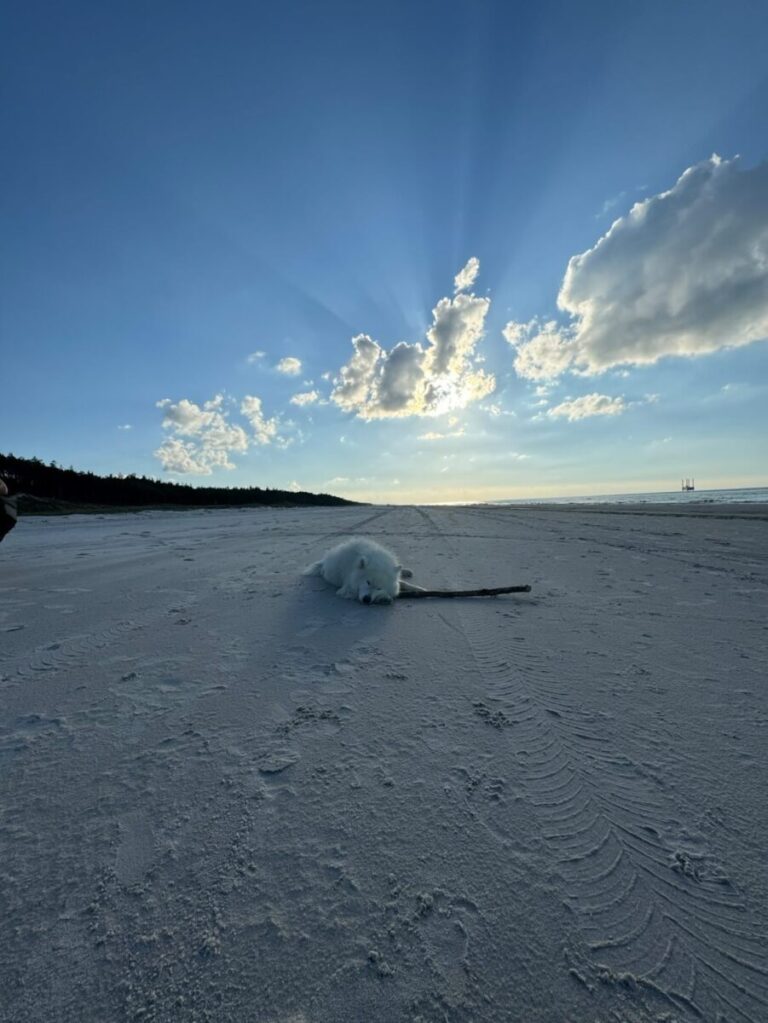 Plaża Lubiatowo (wszystkie wejścia)