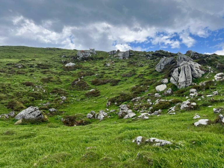 Velika Planina
