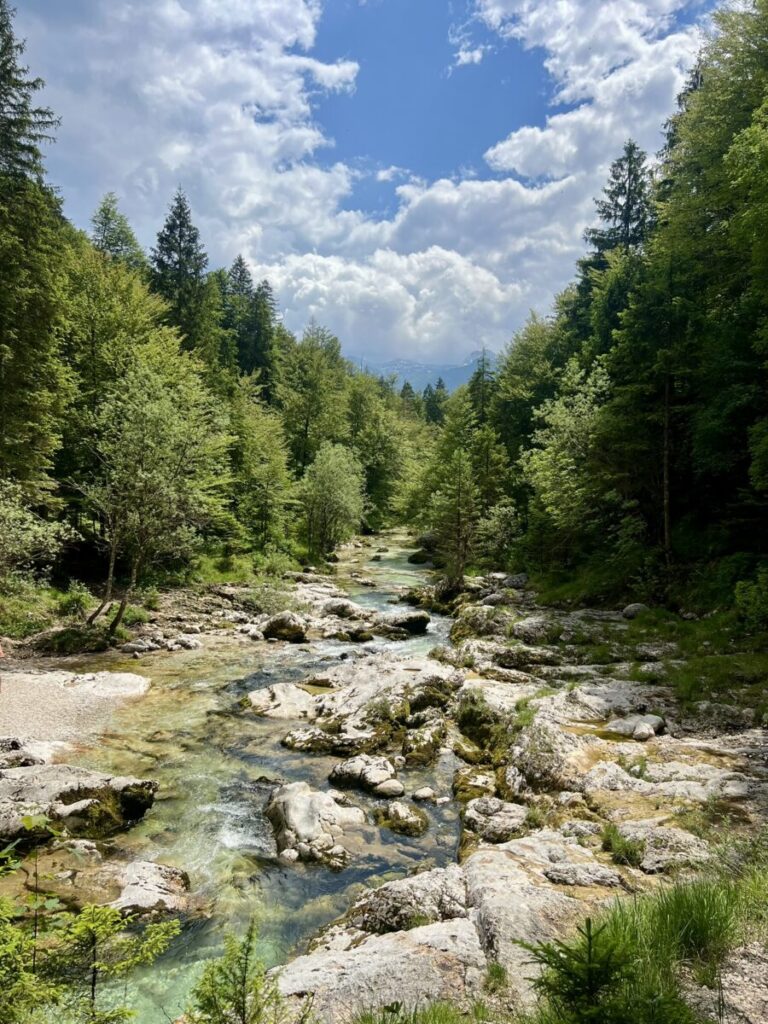 Wąwóz Mostnica i Dolina Voje