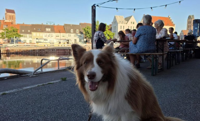 KAI barcafe, Wismar
