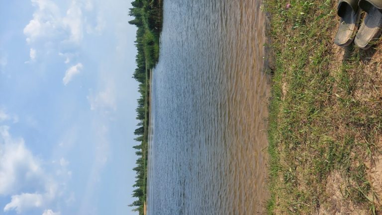 Dvariškių paplūdimys – Truskava