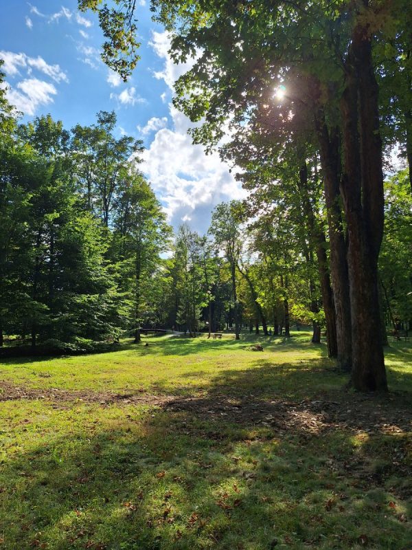 Park Zdrojowy w Wysowie-Zdrój