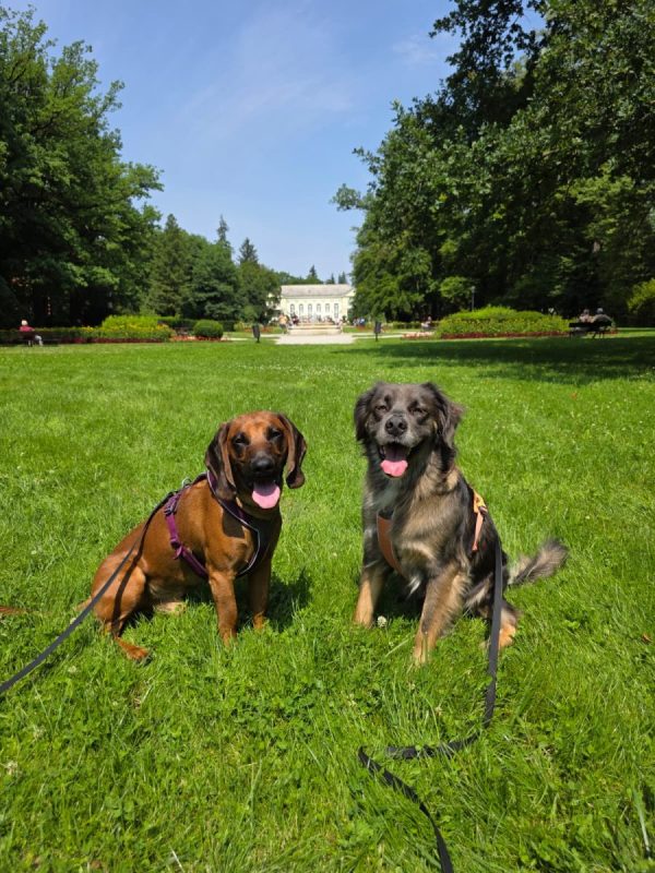 Park Zdrojowy w Jeleniej Górze Cieplicach